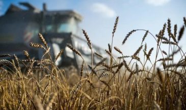 Кубанская компания по оптовой торговле сельхозпродукцией продолжает внедрять бережливые технологии