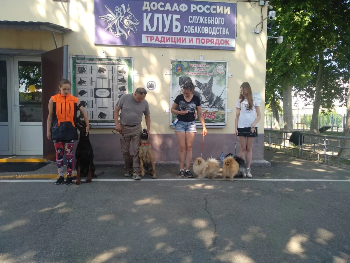 В воскресной школе Свято-Троицкого собора дети изучают Закон Божий и творчество