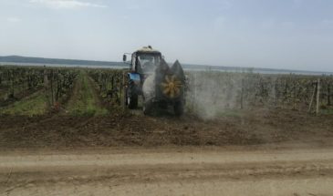 Сельхозпредприятие из Темрюкского района повысило эффективность обработки виноградников