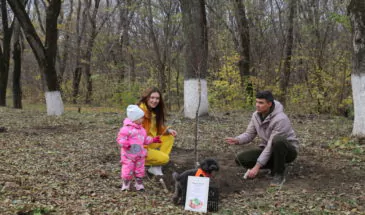 Прямо сейчас 37 армавирских семей закладывают липовую аллею в Городской роще