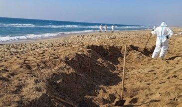 Крупное местонахождение мазута на берегу у Анапы нашли армавирцы