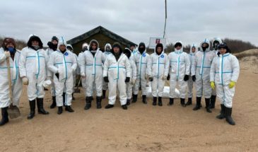 На Бугазской косе, где армавирцы убирают мазут, приводняются чайки