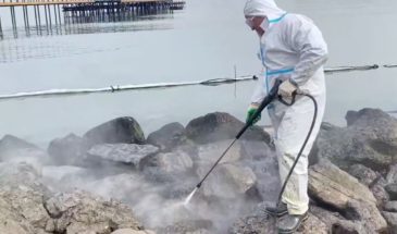 В районе центрального пляжа и морского порта Анапы очищают от мазута камни