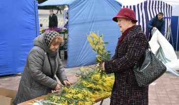 Мимозу таки доставят! Мужчины, будьте готовы
