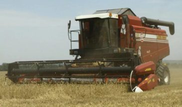 Агропредприятие из Славянского района внедряет новые стандарты производительности