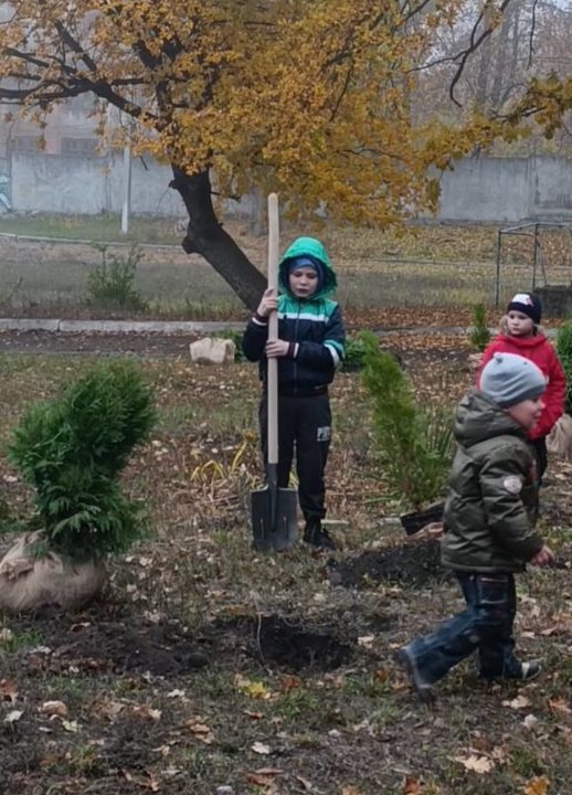 Прифронтовые «Аллеи Единства». В рамках акции армавирские волонтеры в Горловке (ДНР) высадили 33 туи