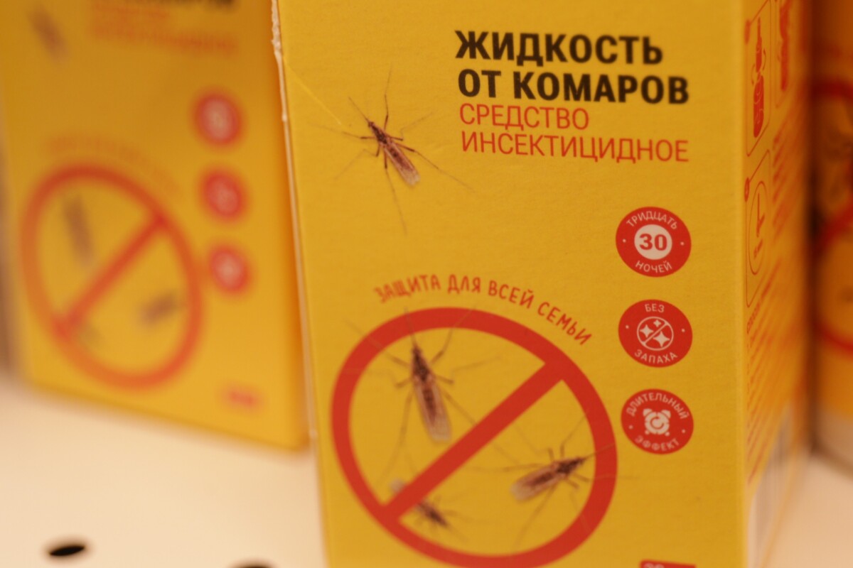 Как избавиться от нашествия кровососущих насекомых в доме?